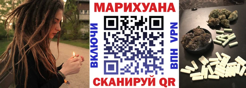 Купить где  Сенгилей  Бошки Шишки семена 